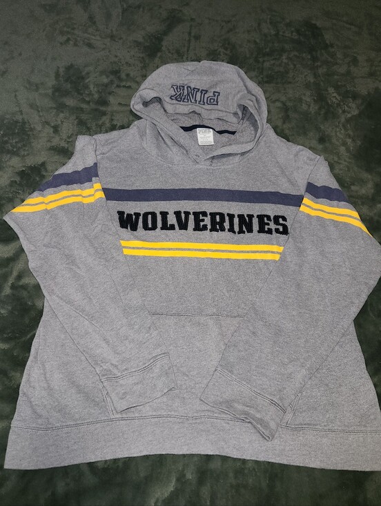 PINK Victoria's Secret Tops - *RARE* PINK VS Michigan Wolverines Hoodie